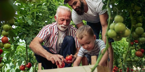 Fours à pain communautaires : renouer avec la tradition