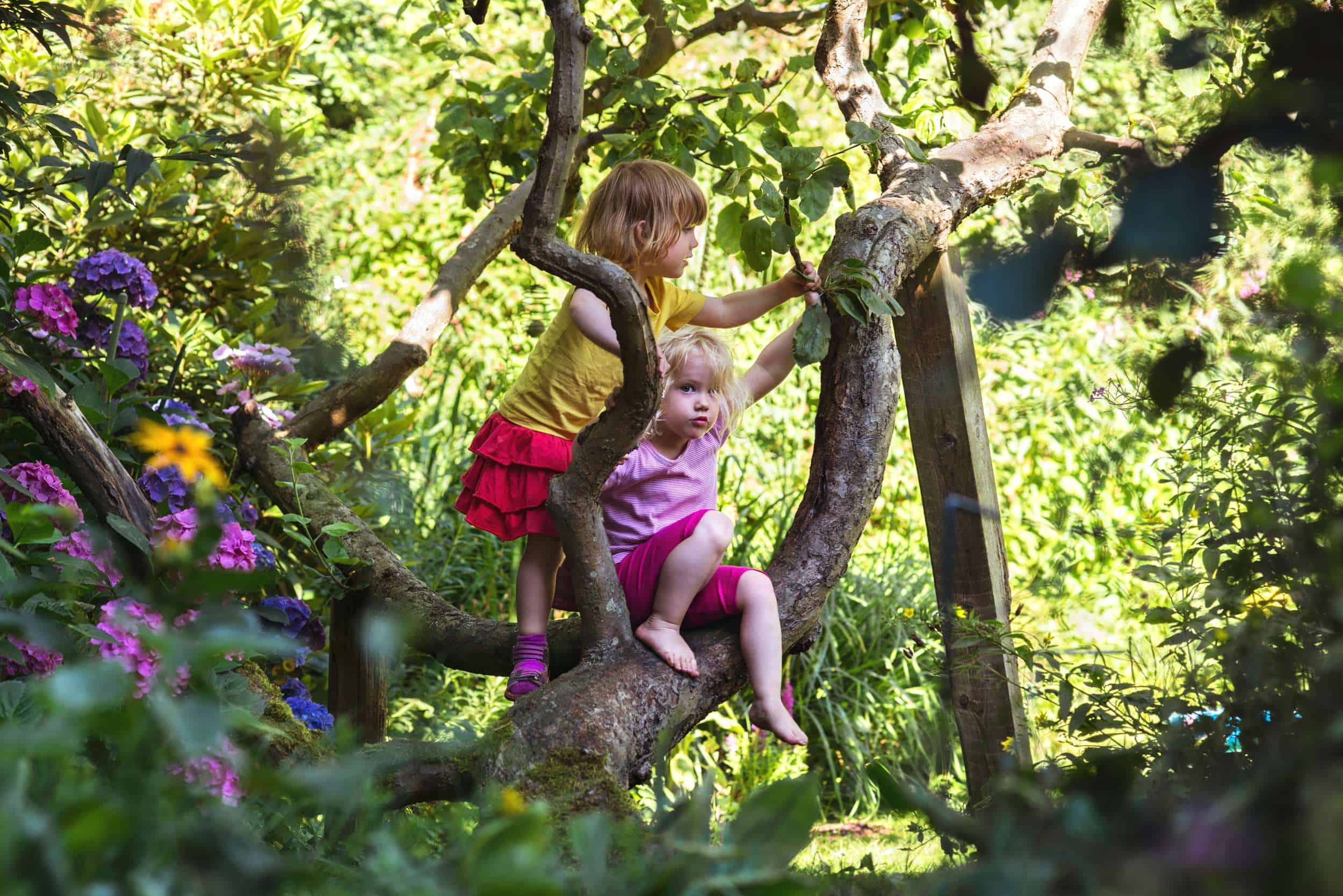 L'aire du jardin des arbres : des visites thématiques pour mieux la  découvrir