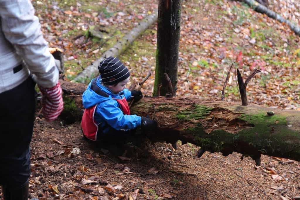 enfant et tronc arbre